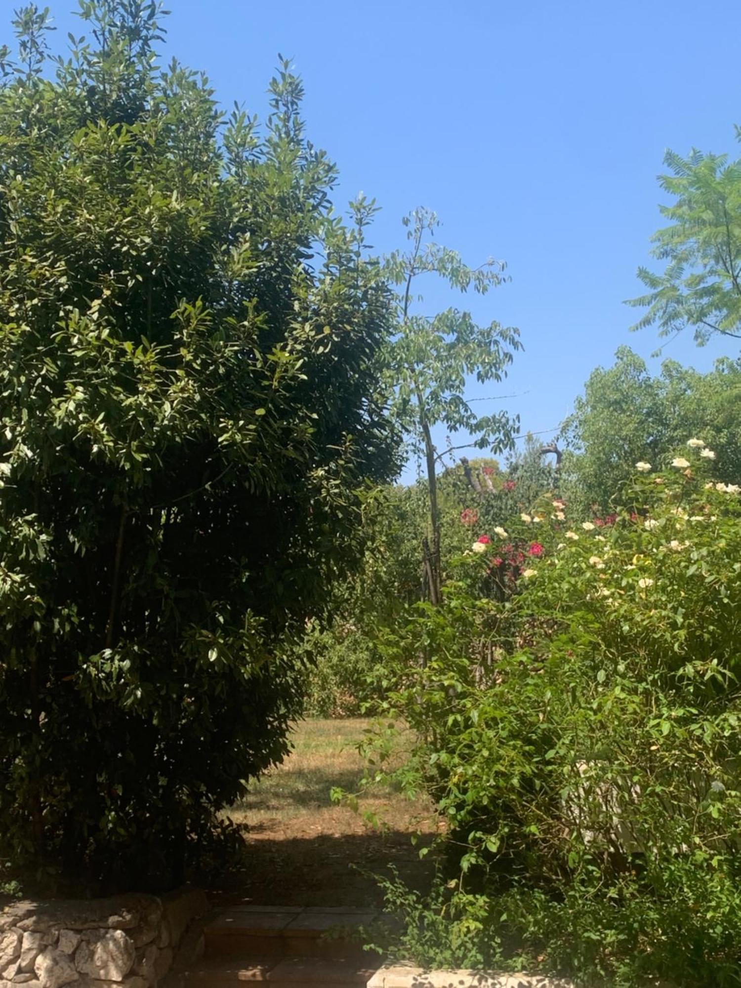 Holiday home Dimora Madreperla Gallipoli