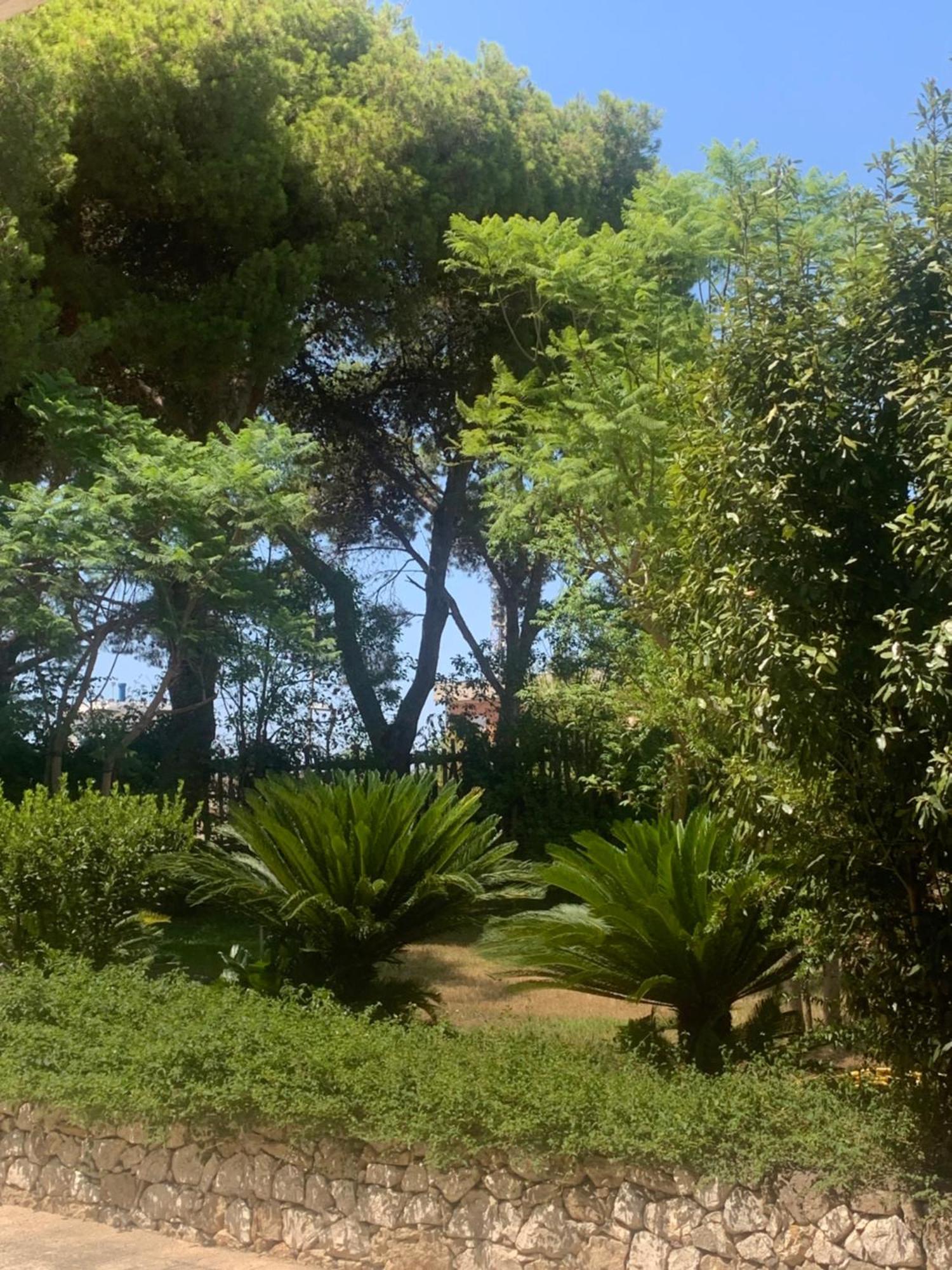 Dimora Madreperla Holiday home *